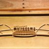 Minnesota Vikings HHH Metrodome Logo 2 Wood Sign