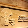Calgary Stampeders Helmet Wood Sign