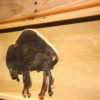 Buffalo Bills 1970-1973 Silhoutte Logo Wood Sign - Legacy Edition