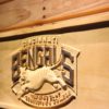 Cincinnati Bengals Georgetown College Training Camp Wood Sign
