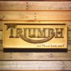 Triumph Go Your Own Way Wood Sign