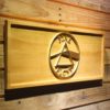 Pink Floyd Dark Side of the Moon Circle Wood Sign