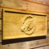 Pittsburgh Steelers Cheerleaders Wood Sign