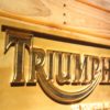 Triumph Go Your Own Way Wood Sign