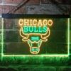 Chicago Bulls Logo 1 LED Neon Sign - Legacy Edition