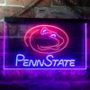 Penn State Nittany Lions Logo LED Neon Sign
