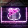 Santos Futebol Clube Logo LED Neon Sign